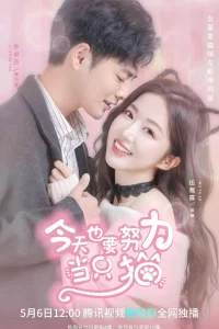 Моя любимая кошечка (2022)