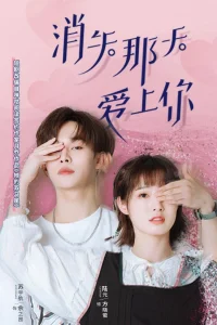 Исчезающая любовь (2022)