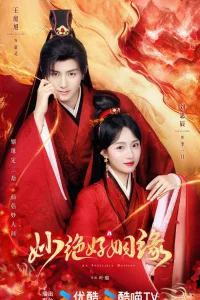 Прекрасный брак (2024)