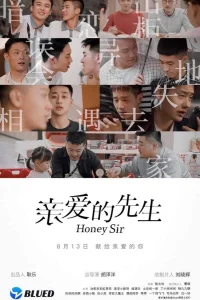 Дорогой сэр (2020)