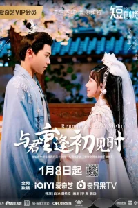 Воссоединение с первого взгляда (2025)