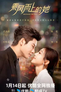 Вынужденная посадка в моем сердце (2025)