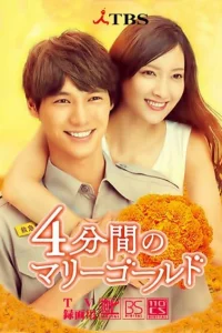 4 минуты бархатцев (2019)