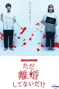 Мы просто не в разводе (2021)