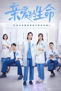 Любимая жизнь (2022)