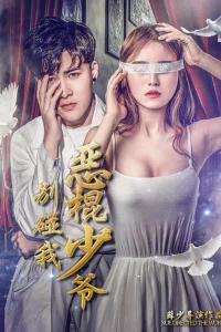 Президент и служанка (2019)