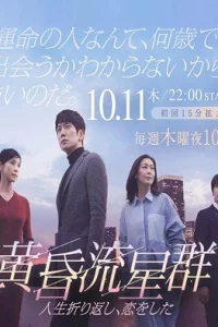 Словно падающие звезды в сумерках (2018)