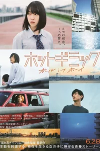 Уловки страсти: Девушка встречает парня (2019)