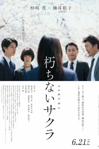 Вечная сакура (2024)
